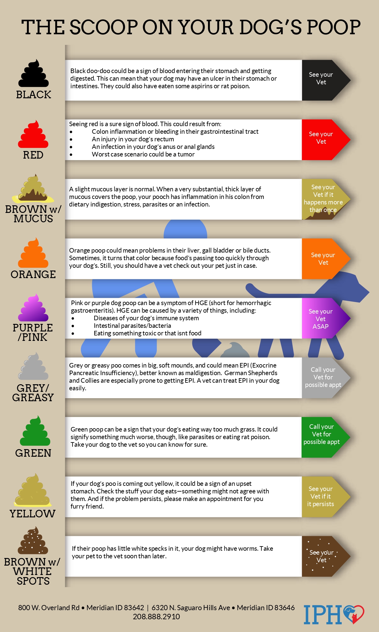 Dog stool reference chart